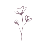 Copia di francesco e fabrizio (1)